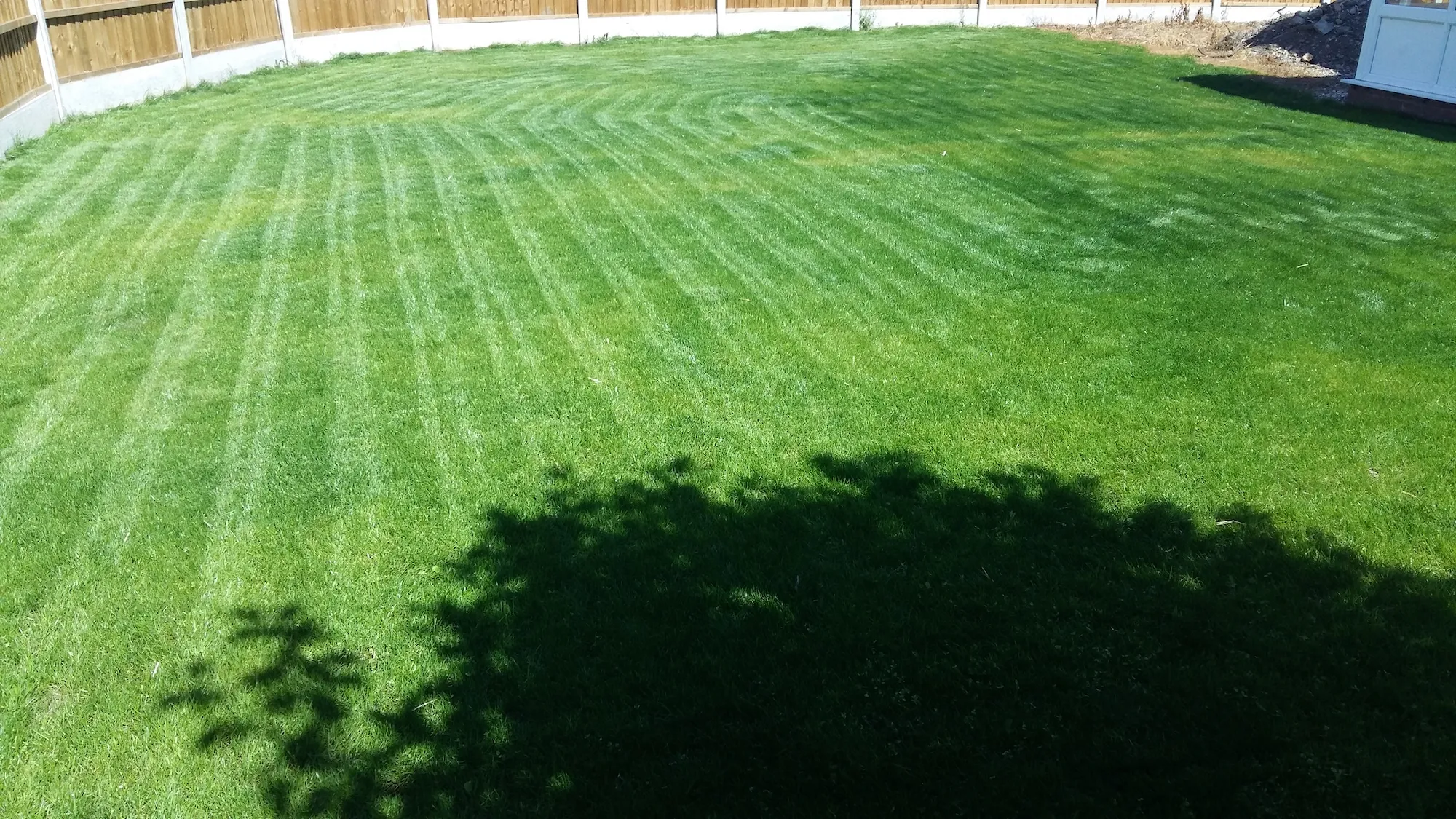 green grass with stripes mown